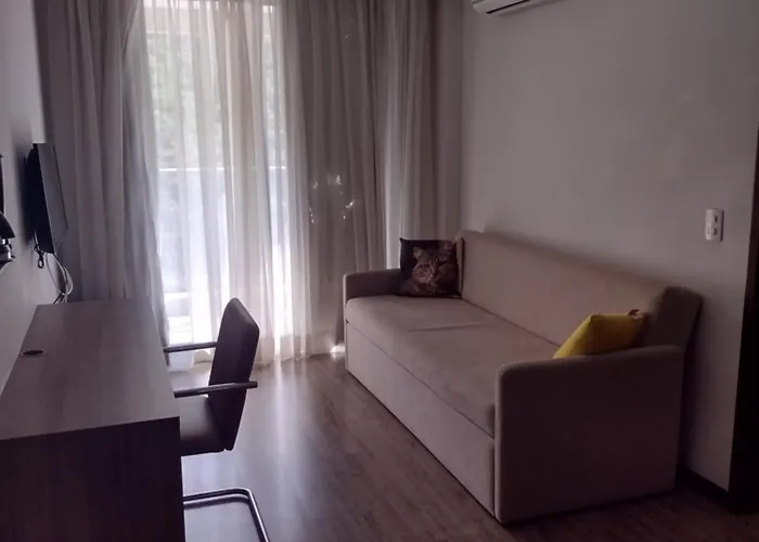 Apto Inteiro Sala E 1 Quarto Na Barra Olimpica
